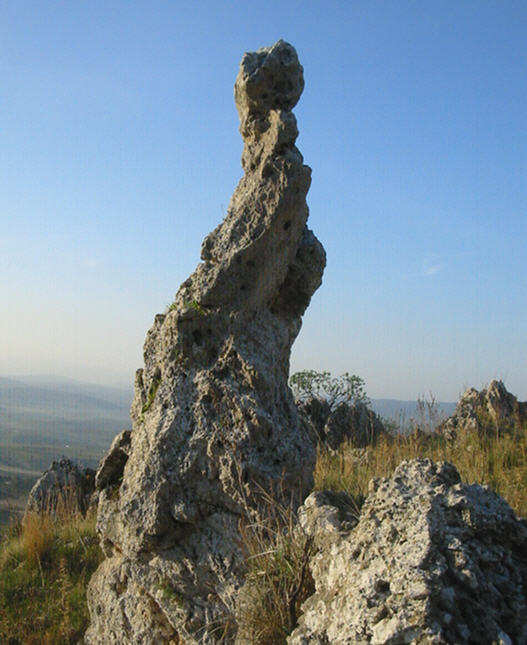 Guglia carsica
